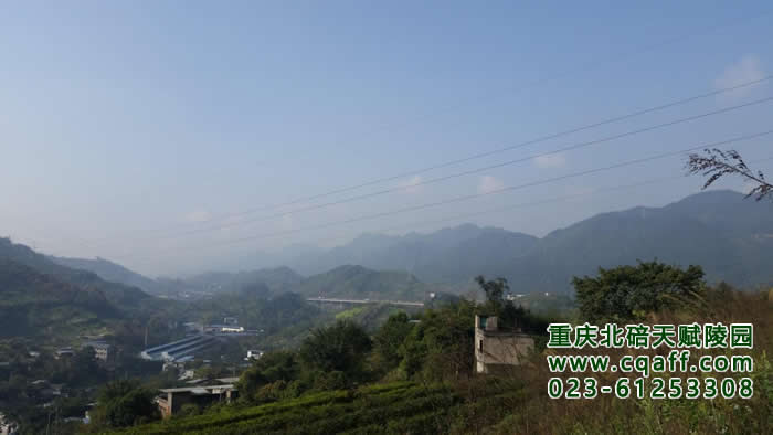重庆北碚区天赋陵园|墓地价格|陵园图片位置-重庆选墓
