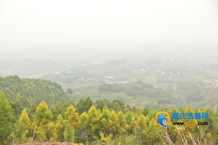 先锋龙真山陵园